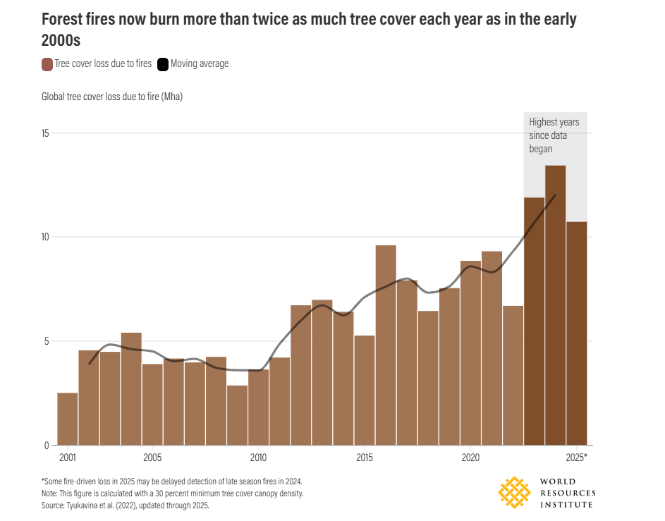 Forest fires now burn more than twice as much tree cover each year as in the early 2000s