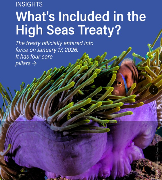 WRI Explains Critical Minerals