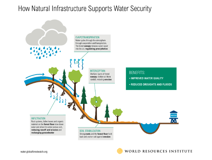 How Natural Infrastructure Supports Water Security graphic