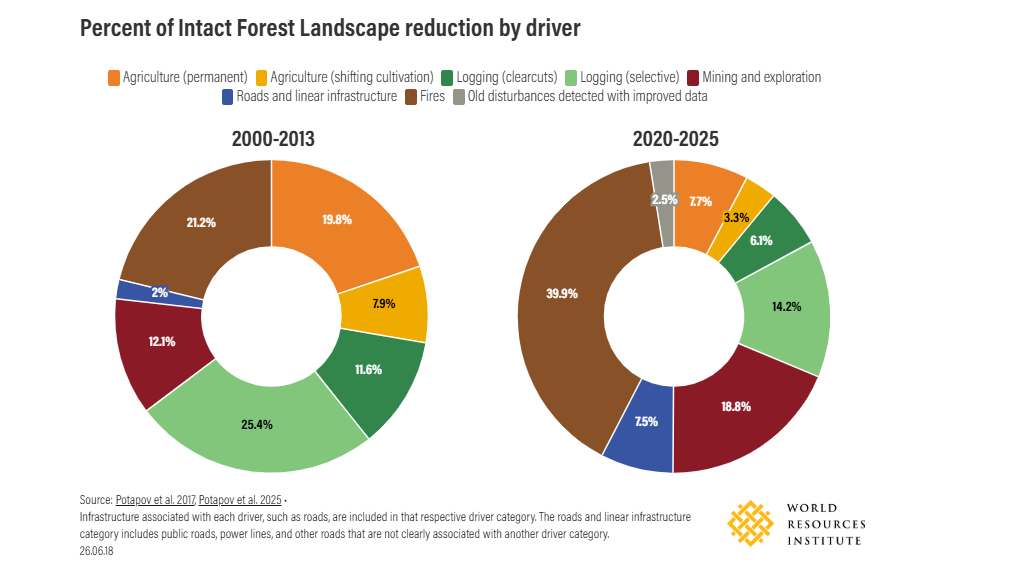 Percent of intact forest landscape reduction by driver