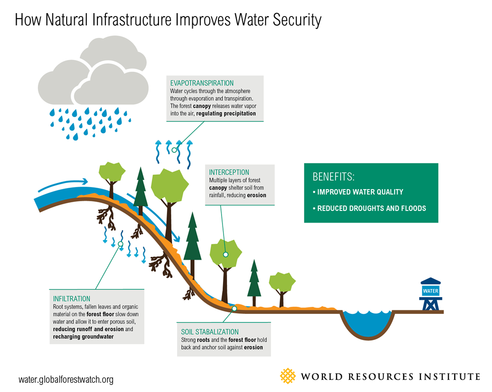 How natural infrastructure improves water security