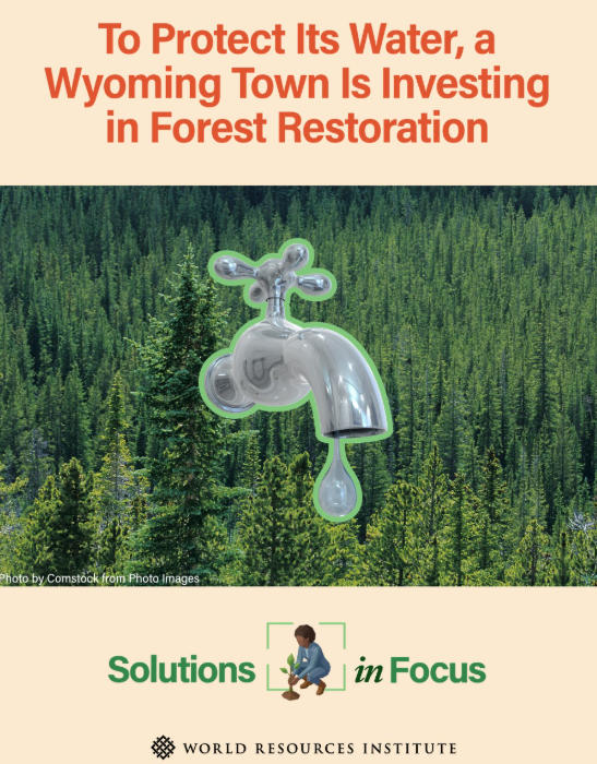 WRI Solutions in Focus Graphic