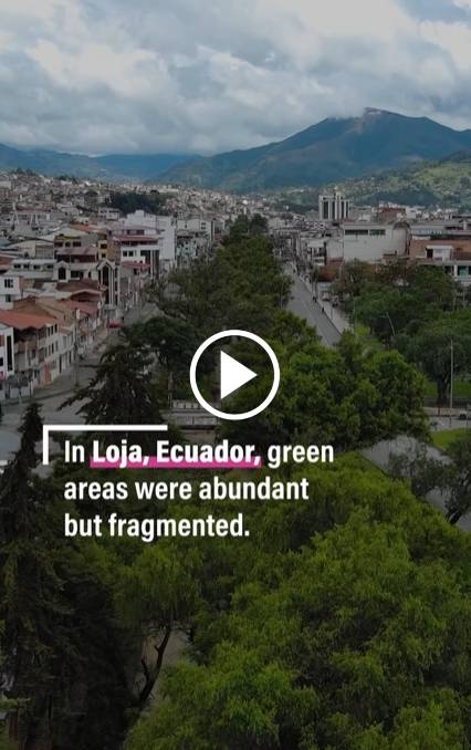 WRI Instagram graphic