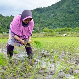 A woman carries water during a blistering hot day in New Delhi, India.