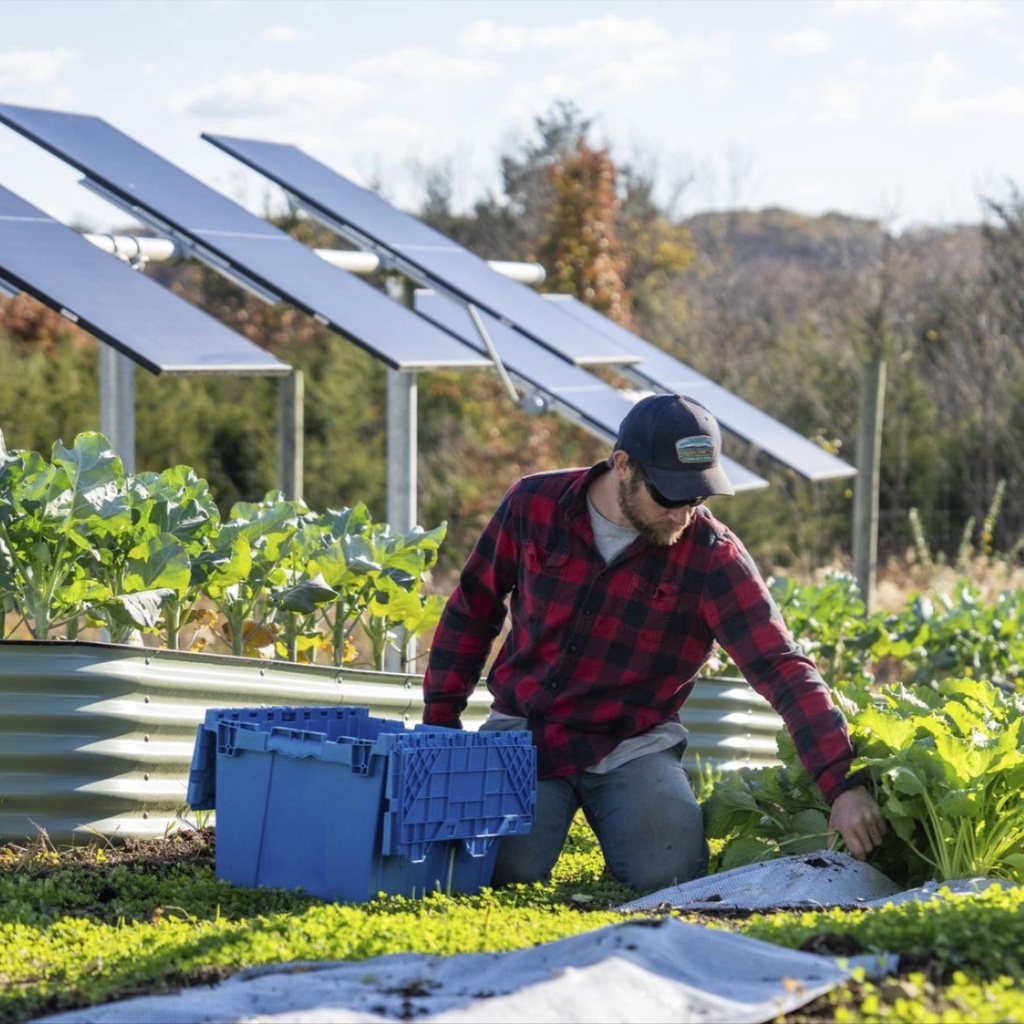 A man tending to his garden