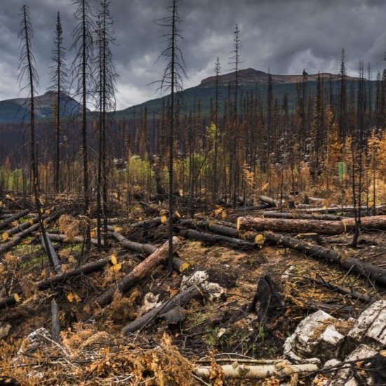Trash collection on the ocean