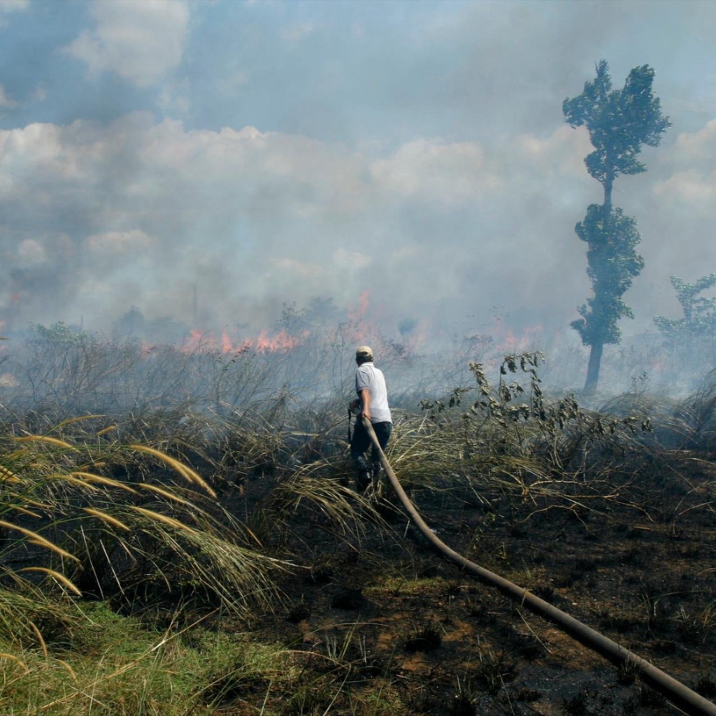 Coal plant by a river