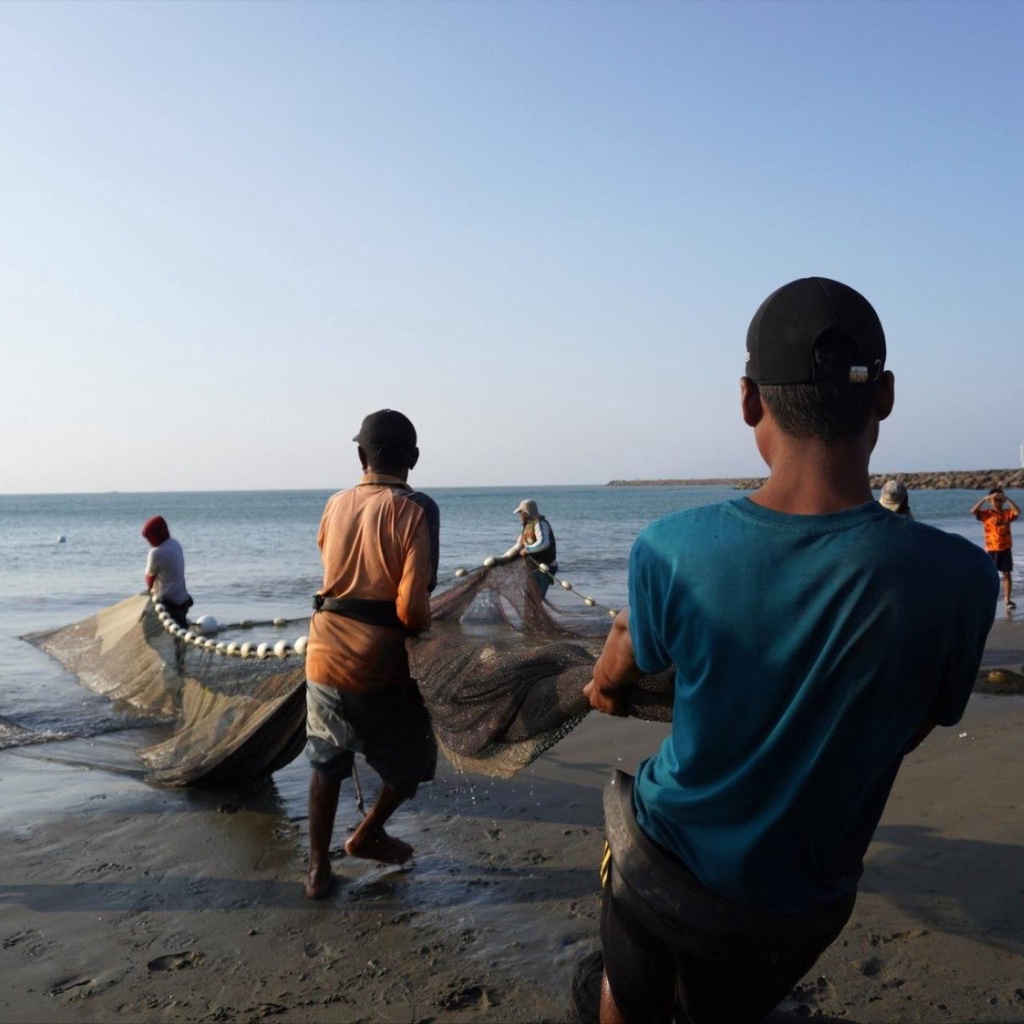 Canned food in boxes