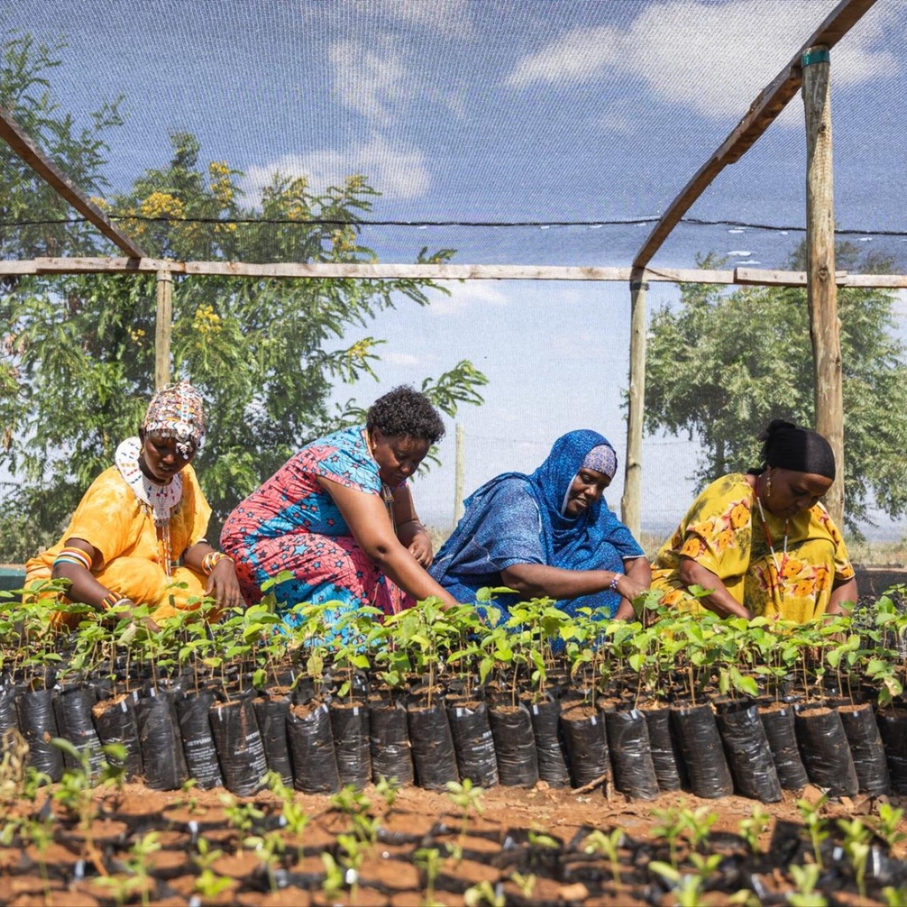 A woman carries water during a blistering hot day in New Delhi, India.
