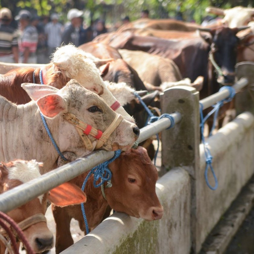 Trash collection on the ocean