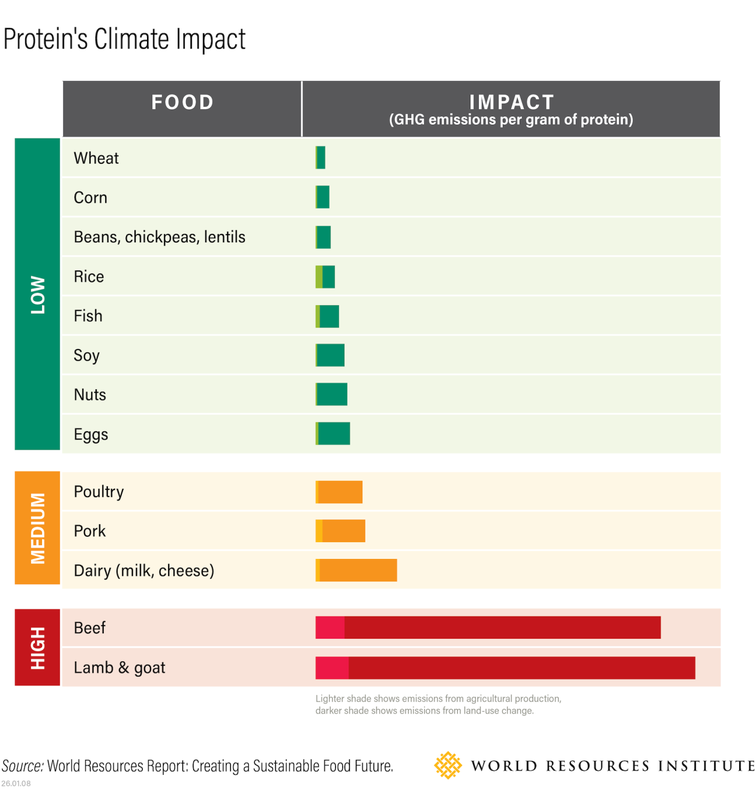 Construction on the desert